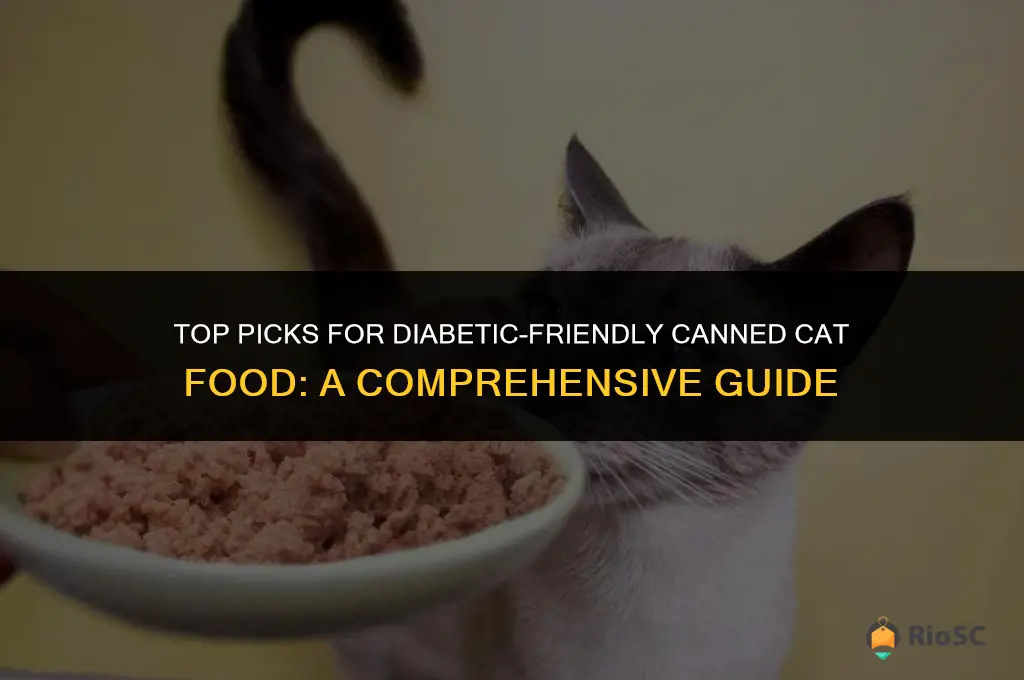 best canned cat food for diabetic cats