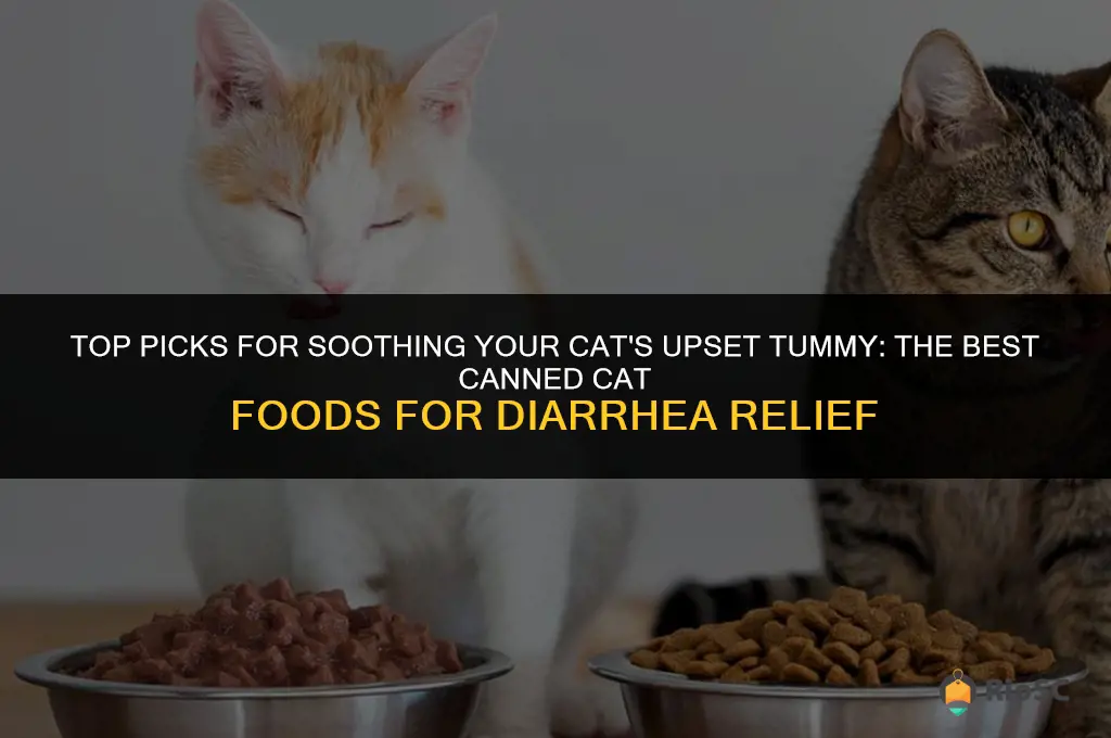 best canned cat food for diarrhea