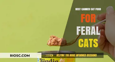 Top Picks for Feral Feline Nutrition: The Best Canned Cat Food Options