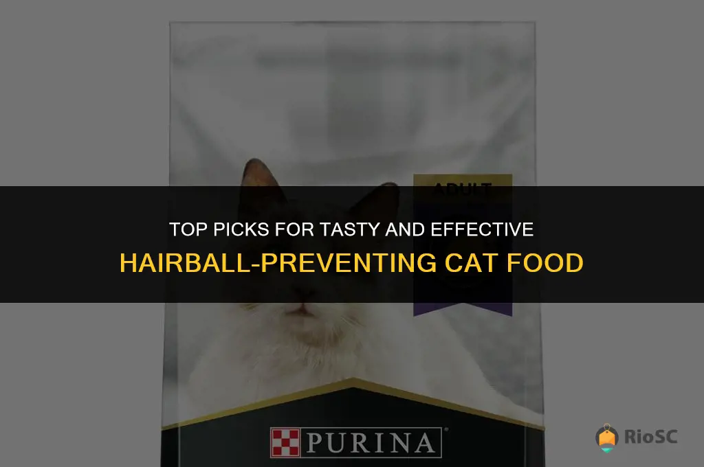 best canned cat food for hairballs