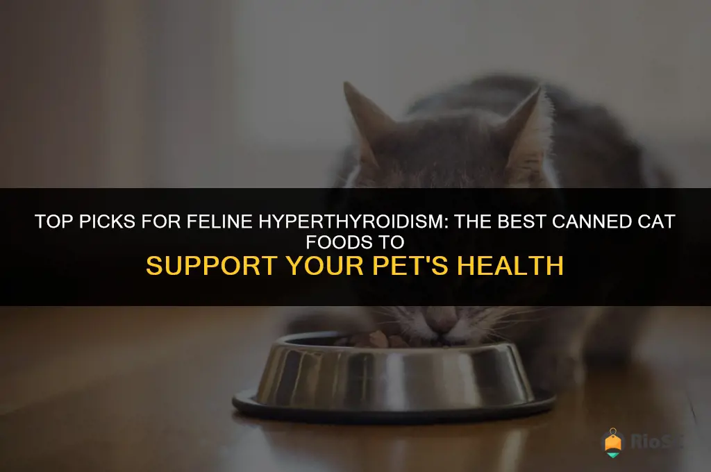 best canned cat food for hyperthyroidism