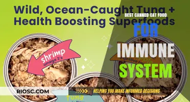 Boosting Feline Immunity: Top Picks for the Best Canned Cat Food