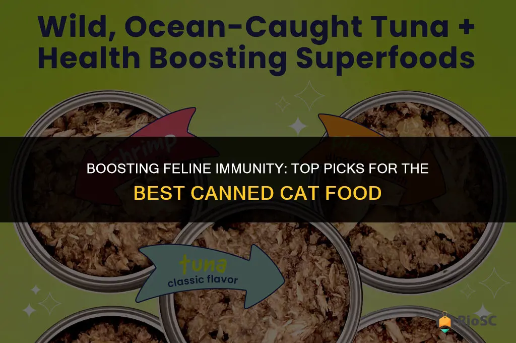 best canned cat food for immune system
