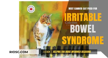Top Picks for Soothing Your Feline's IBS: The Best Canned Cat Foods for Digestive Health