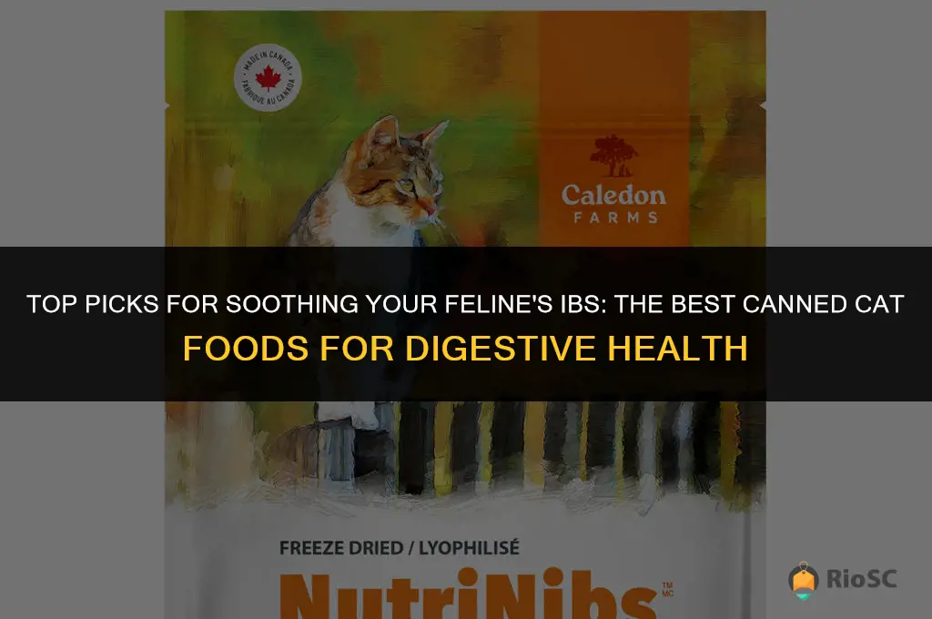 best canned cat food for irritable bowel syndrome