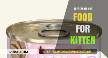 Purr-fect Nutrition: Top Canned Cat Food Picks for Your Kitten's Growth and Health