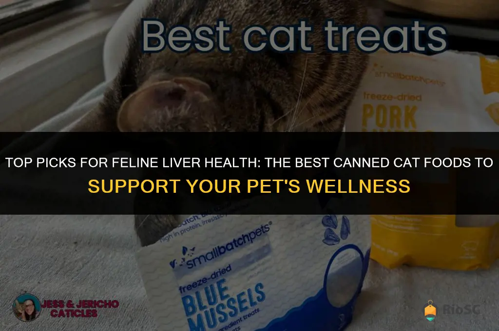 best canned cat food for liver disease