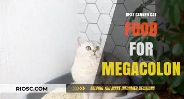 Top Picks for Tummy-Friendly Canned Cat Food: Managing Megacolon with Nutrition