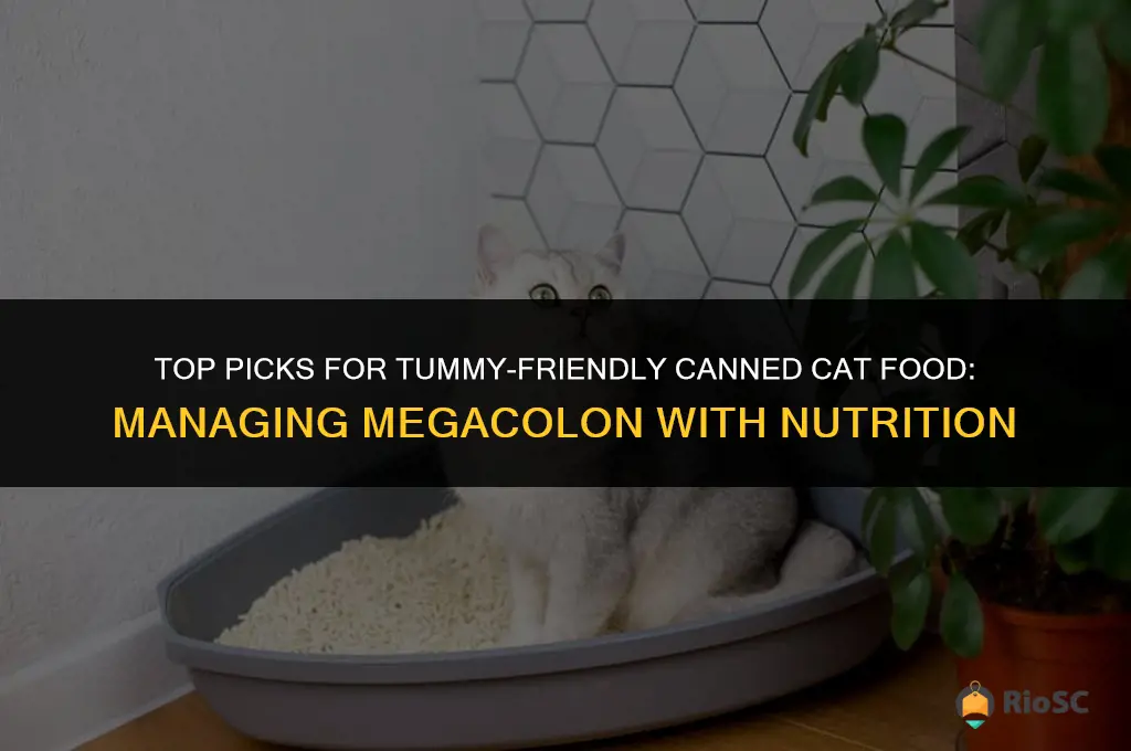 best canned cat food for megacolon