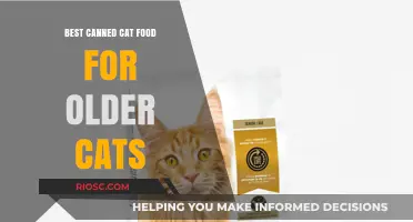 Top Picks for Senior Felines: The Best Canned Cat Food for Older Cats