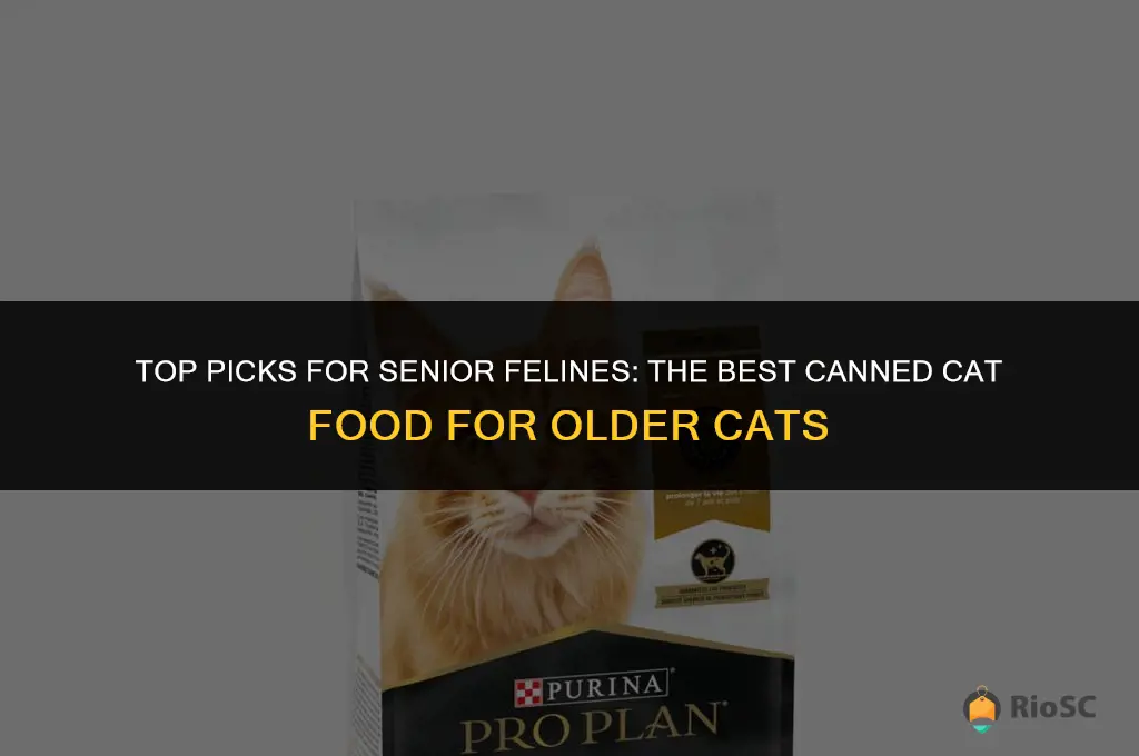best canned cat food for older cats
