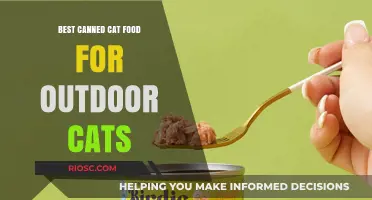 Top Picks for Your Feline Friends: The Best Canned Cat Food for Outdoor Cats
