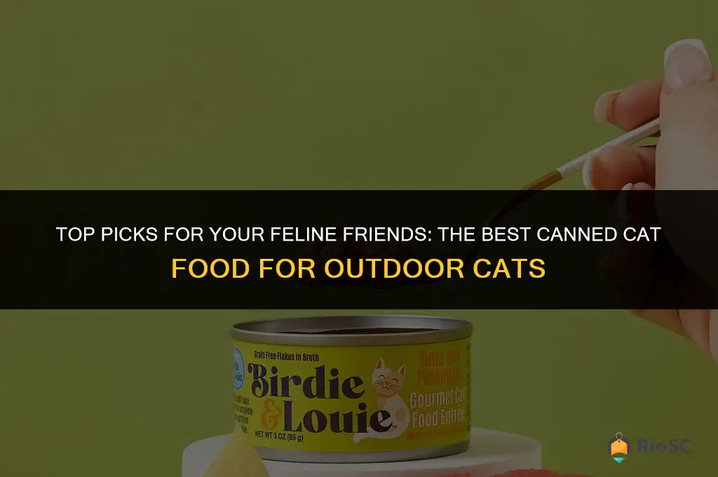 best canned cat food for outdoor cats
