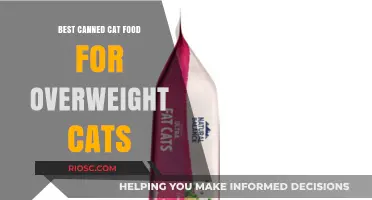 Top Picks for Tasty, Low-Calorie Canned Cat Food to Help Your Overweight Feline Friend Shed Pounds