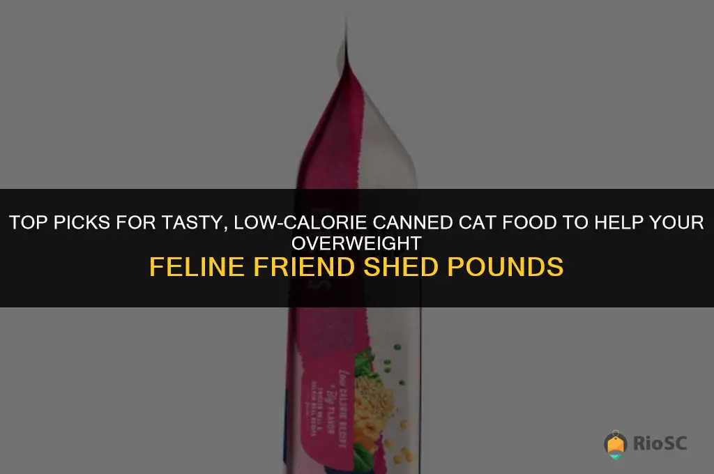 best canned cat food for overweight cats
