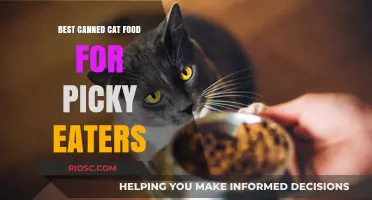 Top Picks for Picky Eaters: The Best Canned Cat Food to Satisfy Your Fussy Feline