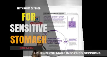 Top Picks for Tummy-Friendly Feline Fare: The Best Canned Cat Food for Sensitive Stomachs