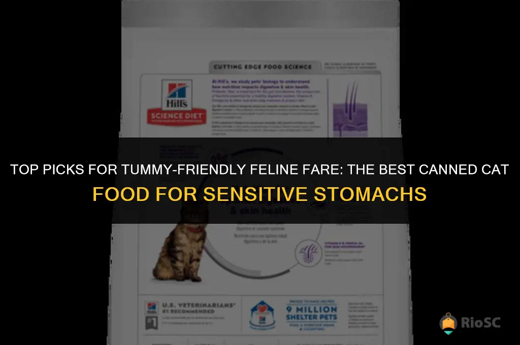 best canned cat food for sensitive stomach