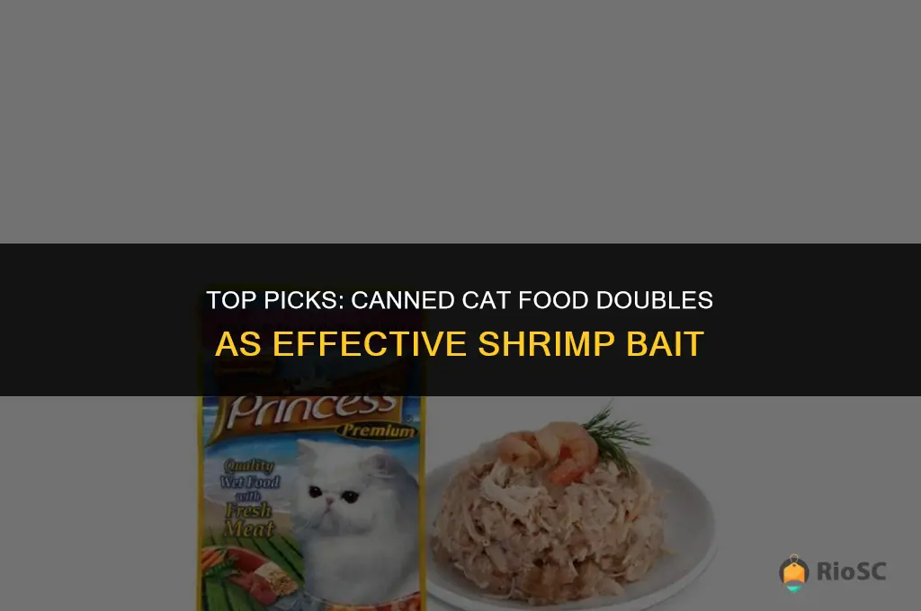 best canned cat food for shrimp bait