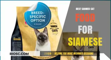 Top Picks for Siamese Cats: The Best Canned Cat Food Options