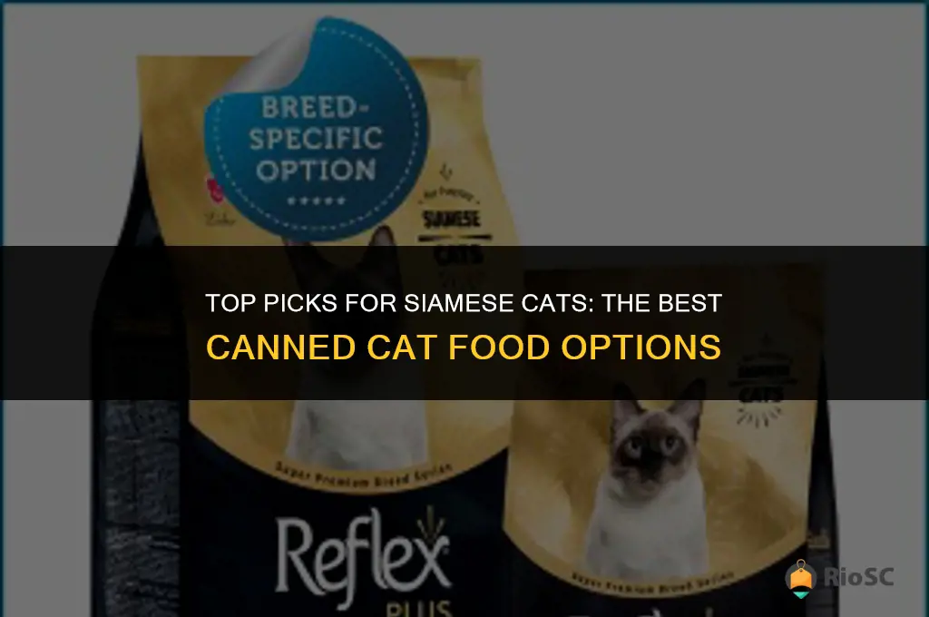 best canned cat food for siamese