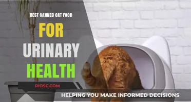 Top Picks for Feline Wellness: The Best Canned Cat Foods Supporting Urinary Health