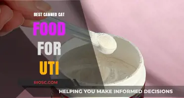 Top Picks for Tasty and Healthy Canned Cat Food to Help Prevent UTIs