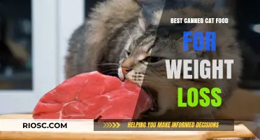 Slim Down Your Feline Friend: Top Picks for Weight Loss Cat Food in Cans