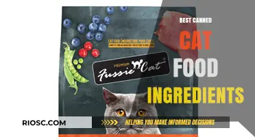 Whiskers' Delight: Unveiling the Premium Ingredients in Top-Notch Canned Cat Food