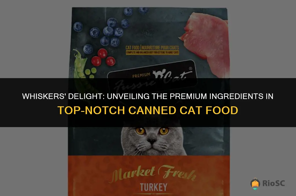 best canned cat food ingredients