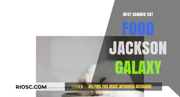Top Picks for Your Feline Friend: Jackson Galaxy's Favorite Canned Cat Foods