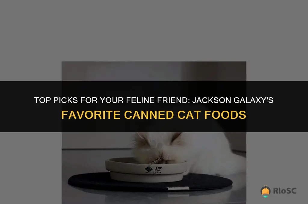 best canned cat food jackson galaxy
