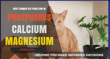 Top Picks for Low-Phosphorus, Calcium, and Magnesium Canned Cat Food: A Comprehensive Guide for Health-Conscious Pet Owners