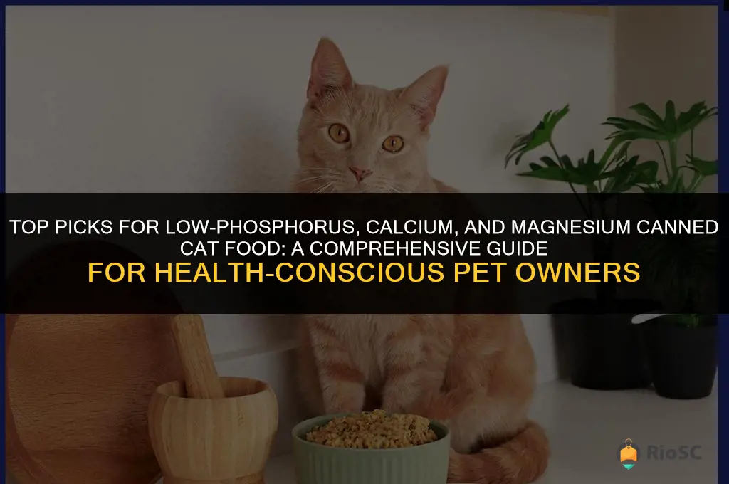 best canned cat food low in phosphorus calcium magnesium