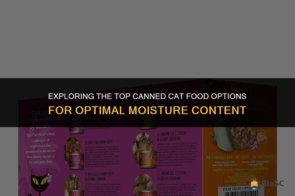 best canned cat food moisture