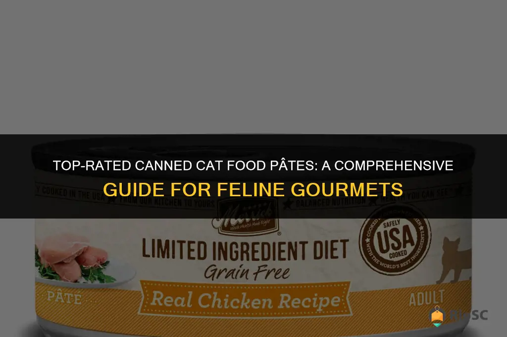 best canned cat food pate