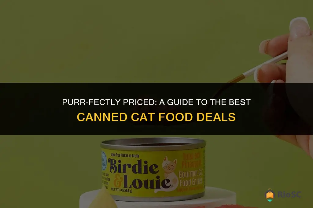 best canned cat food prices