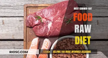 Exploring the Benefits of a Raw Diet for Cats: Top Canned Options Revealed