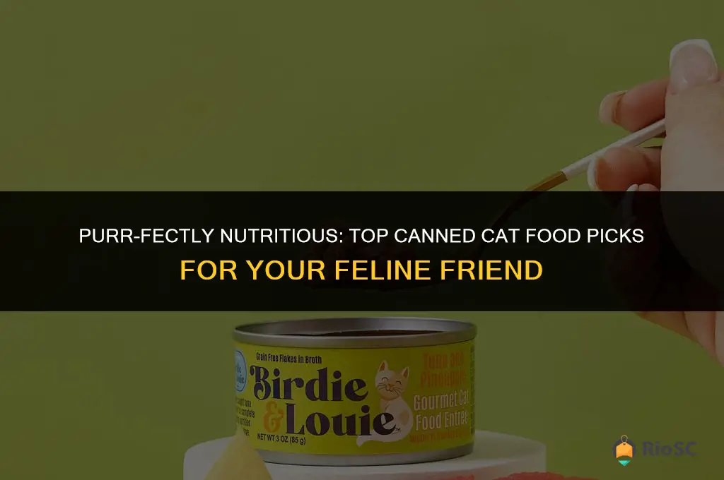 best canned cat food reviews