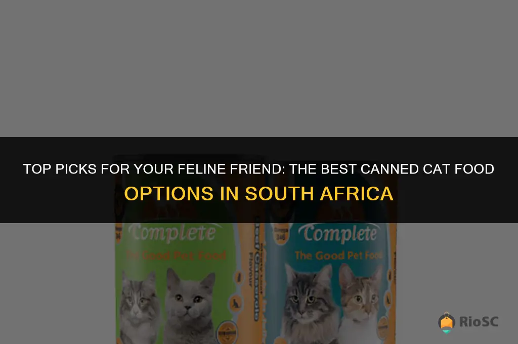 best canned cat food south africa