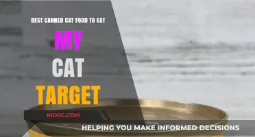 Purr-fectly Nutritious: Top Canned Cat Food Picks to Keep Your Feline Friend Healthy and Happy