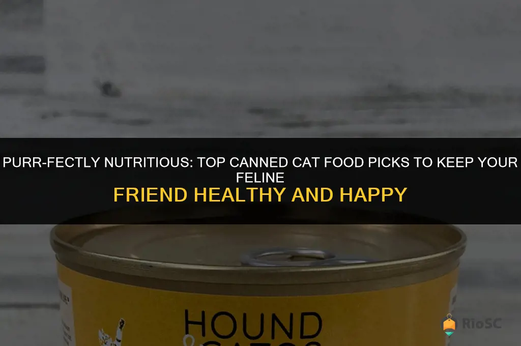 best canned cat food to get my cat target