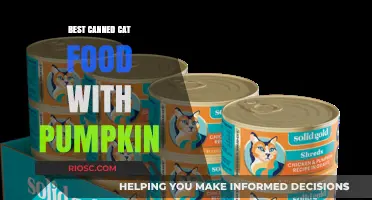 Purr-fectly Nutritious: Top Canned Cat Foods Infused with Pumpkin for Optimal Health