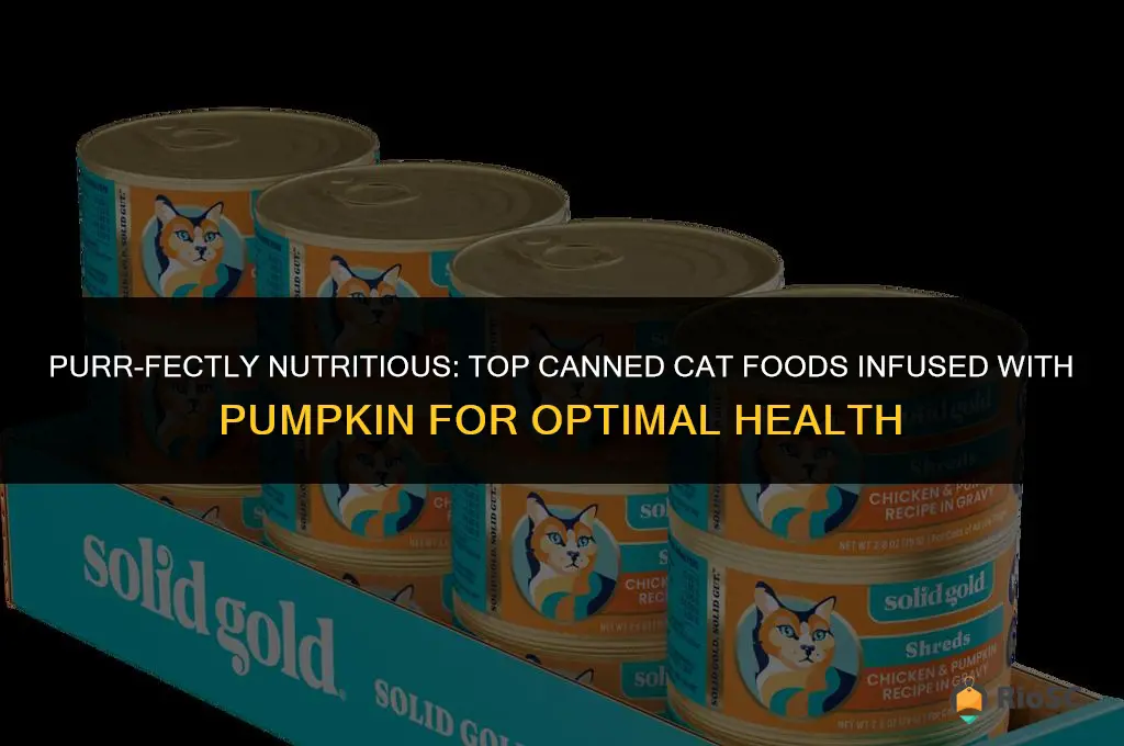 best canned cat food with pumpkin