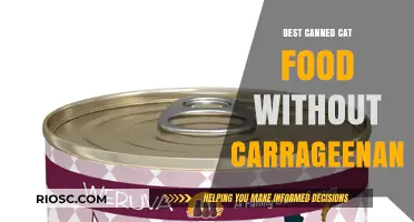 Top Picks for Healthy Feline Diets: Canned Cat Food Options Without Carrageenan