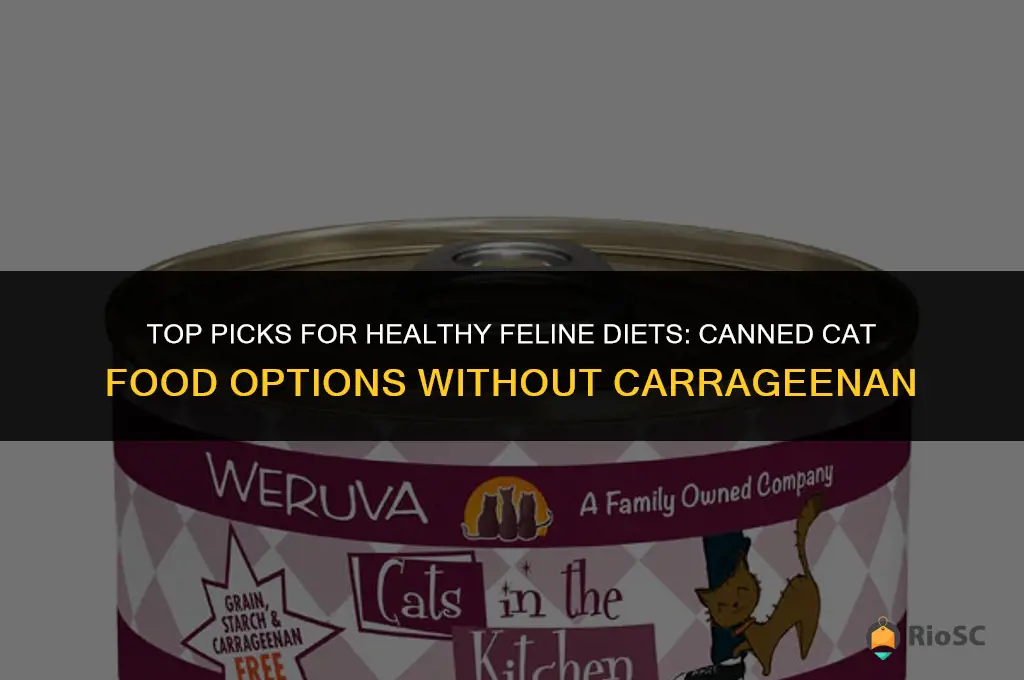 best canned cat food without carrageenan