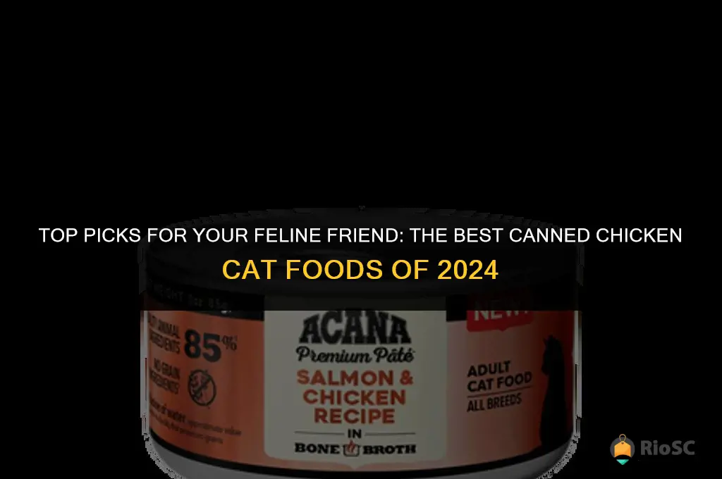 best canned chicken cat food