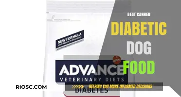 Top Picks for Diabetic Dogs: The Best Canned Dog Food Options