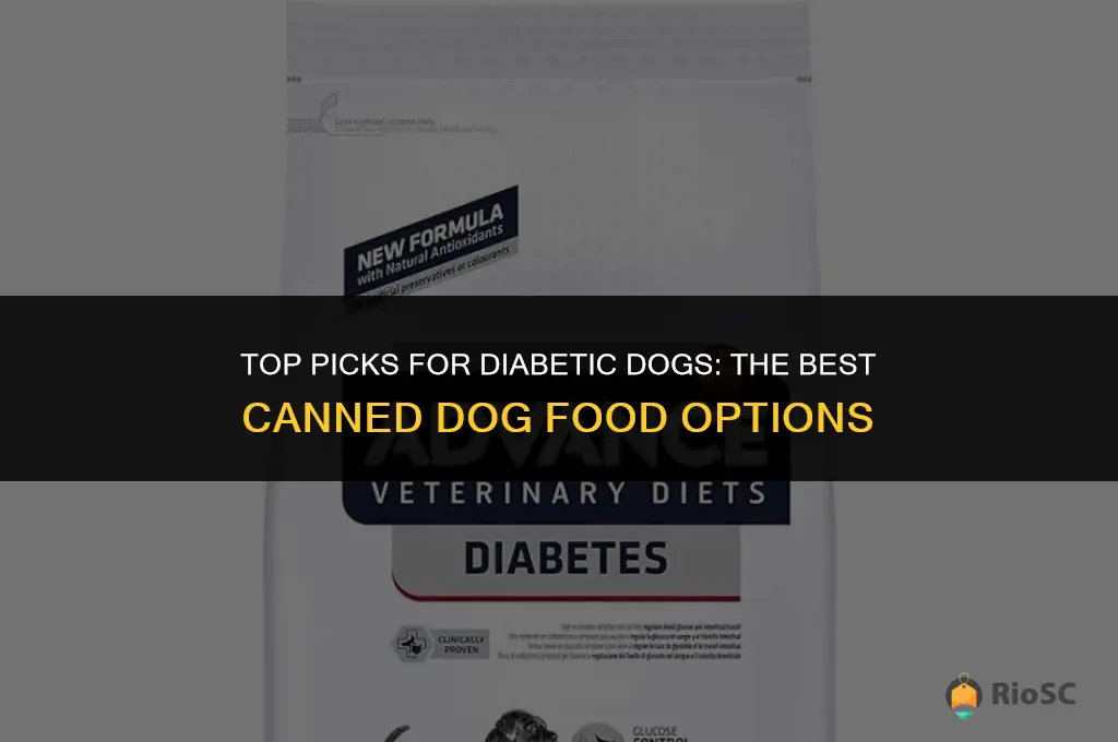 best canned diabetic dog food