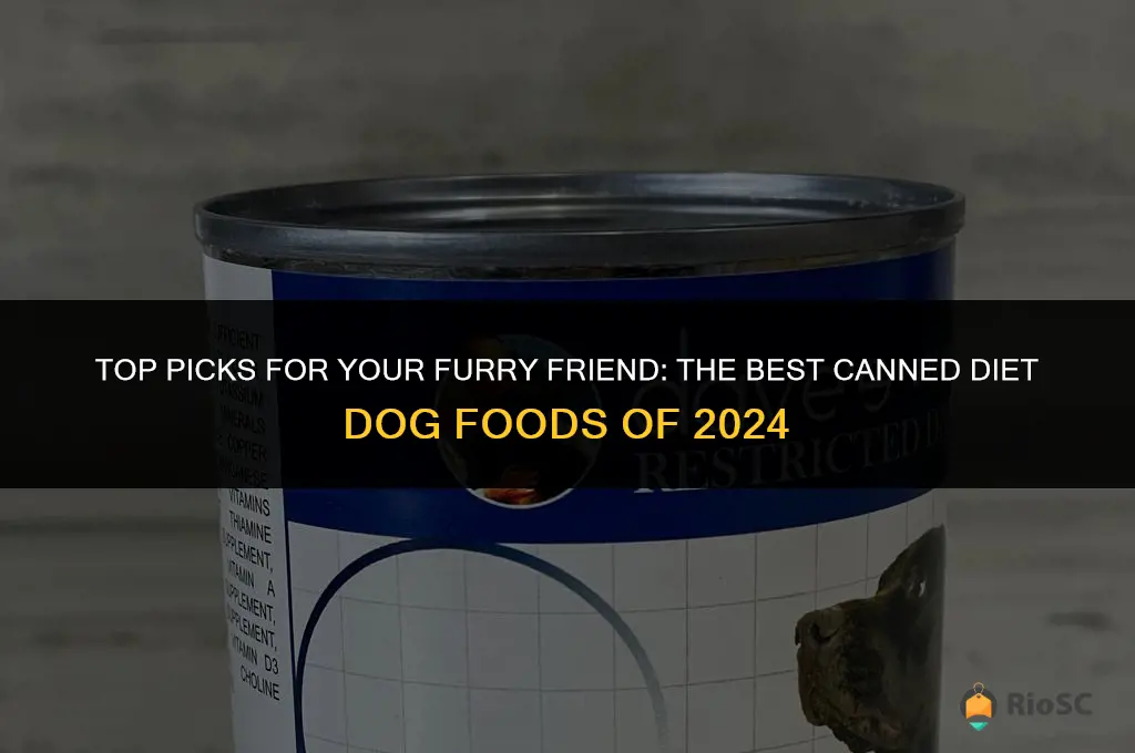 best canned diet dog food